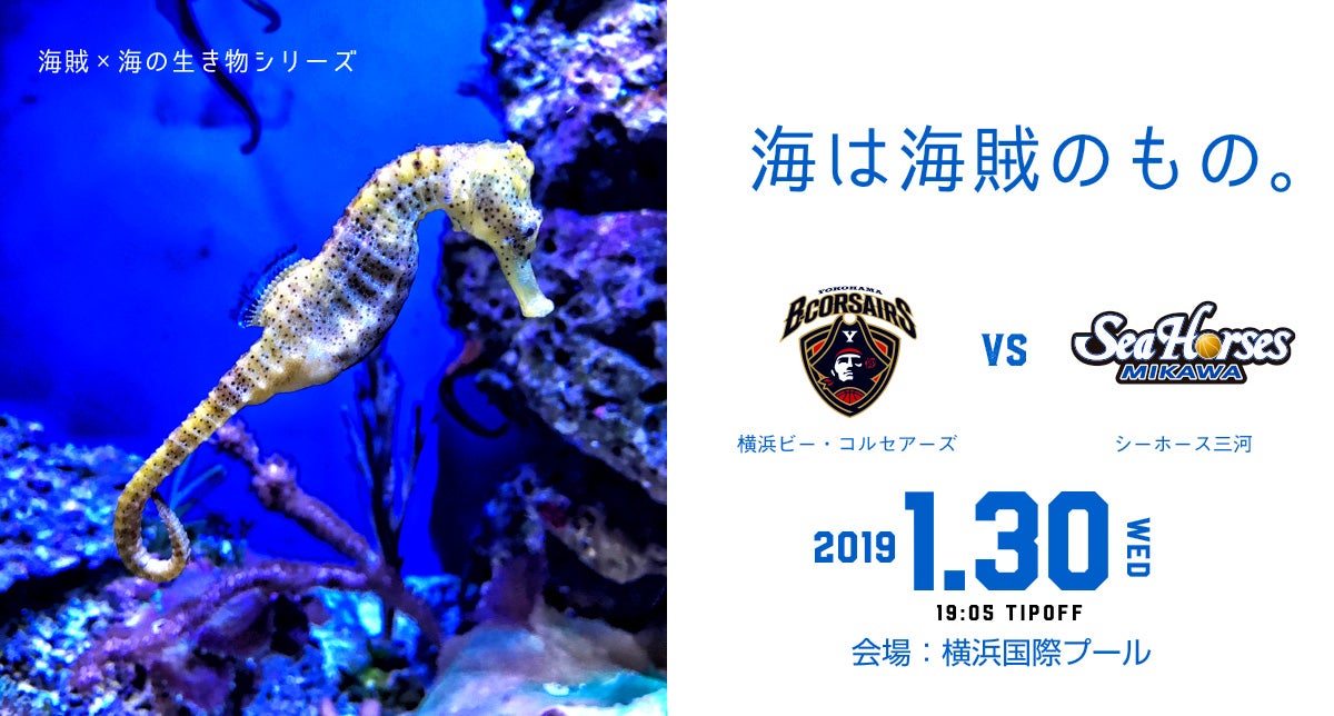三河戦